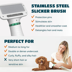 3-in-1 Pet Hair Styling Dryer with Slicker Brush for Dogs & Cats, Portable, Rechargeable,Quiet High-Power Pet Hair Dryer