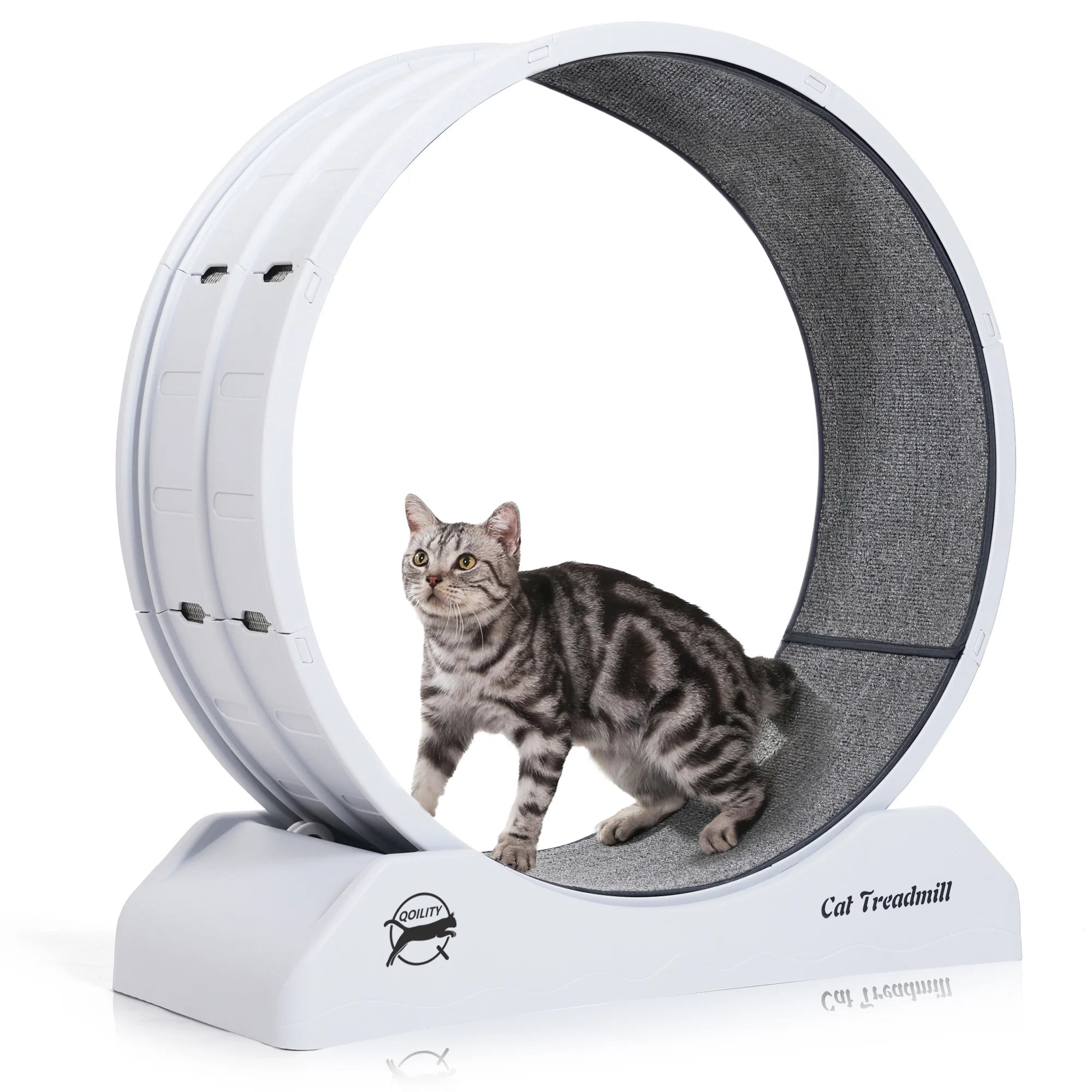cat wheel