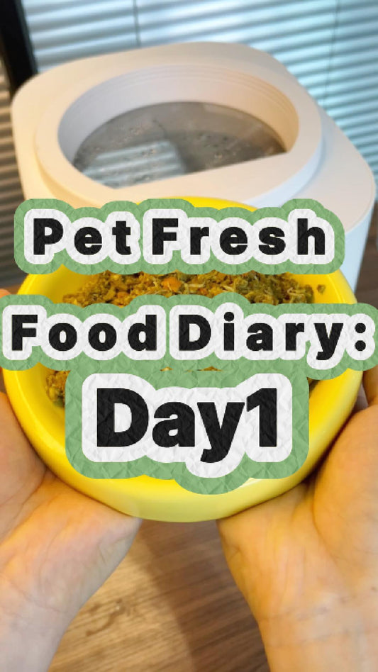 Pet Nutritional Fresh Food Diary Day 1