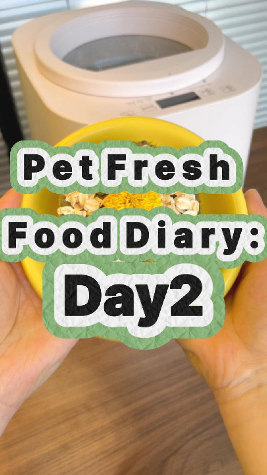 Pet Nutritional Fresh Food Diary Day 2