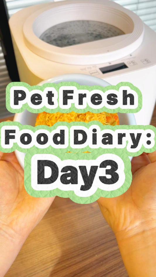 Pet Nutritional Fresh Food Diary Day 3