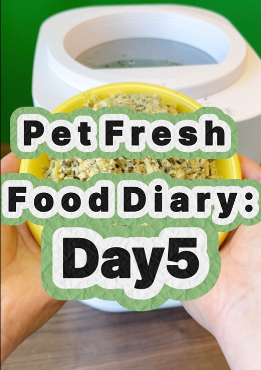 Pet Nutritional Fresh Food Diary Day 5