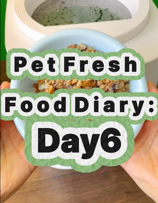 Pet Nutritional Fresh Food Diary Day 6
