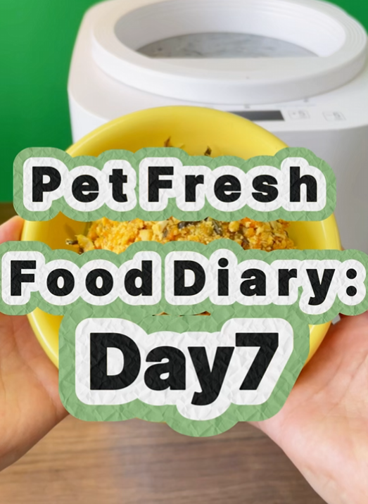 Pet Nutritional Fresh Food Diary Day 7