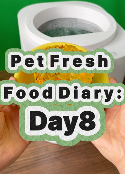 Pet Nutritional Fresh Food Diary Day 8