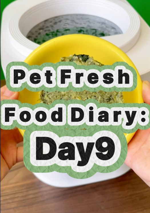 Pet Nutritional Fresh Food Diary Day 9