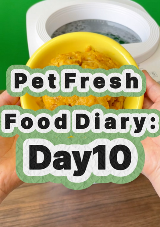 Pet Nutritional Fresh Food Diary Day 10