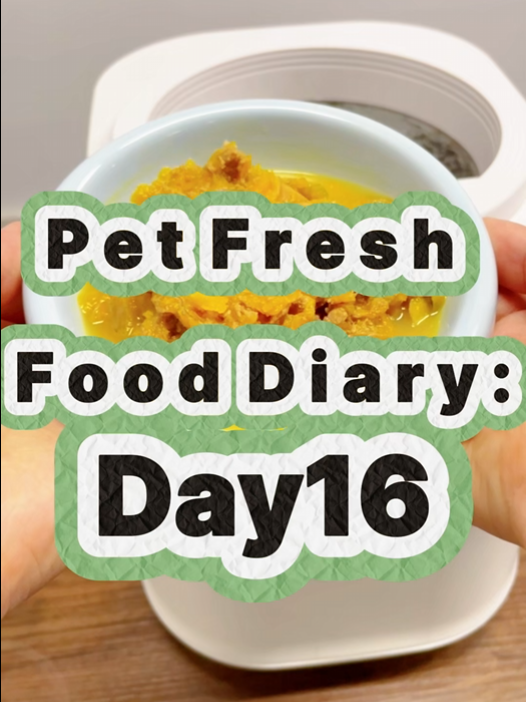 Pet Nutritional Fresh Food Diary Day 16