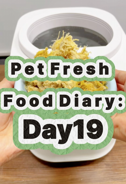 Pet Nutritional Fresh Food Diary Day 19