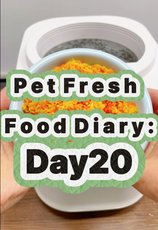Pet Nutritional Fresh Food Diary Day 20