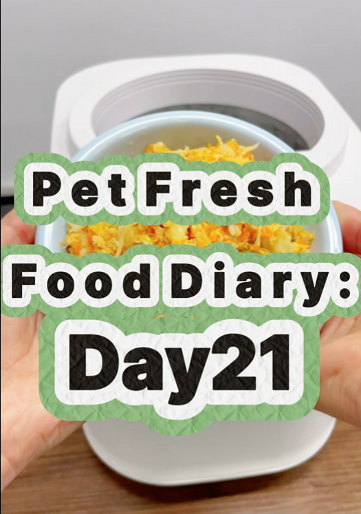 Pet Nutritional Fresh Food Diary Day 21