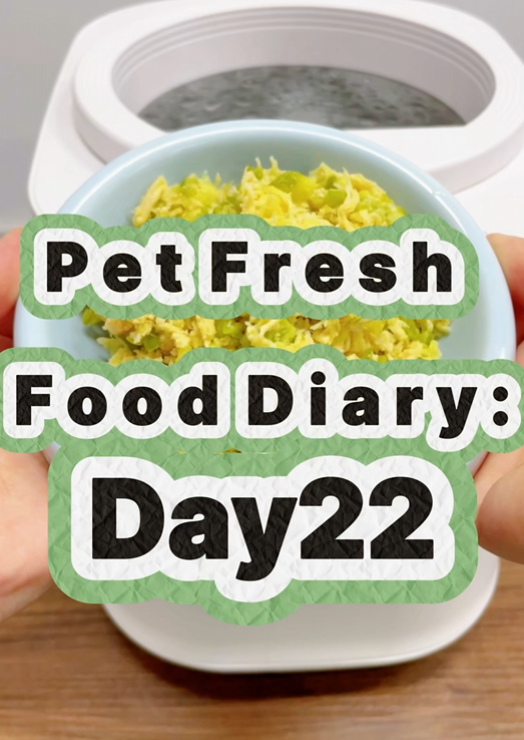 Pet Nutritional Fresh Food Diary Day 22