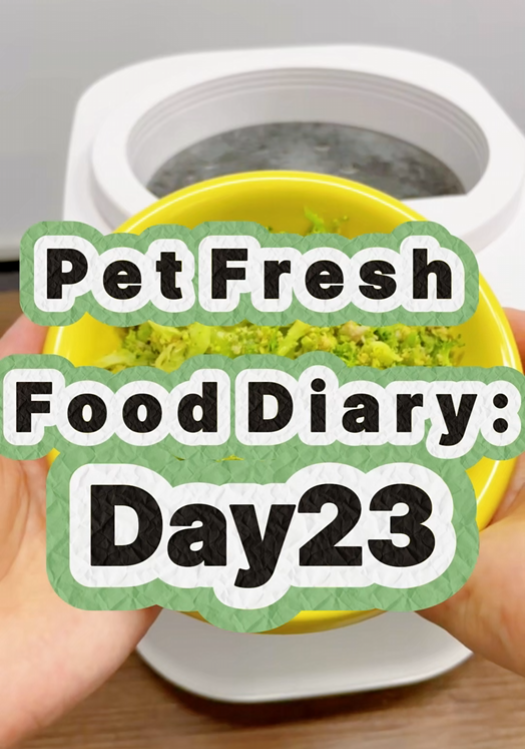 Pet Nutritional Fresh Food Diary Day 23
