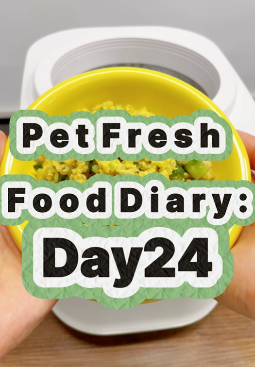 Pet Nutritional Fresh Food Diary Day 24