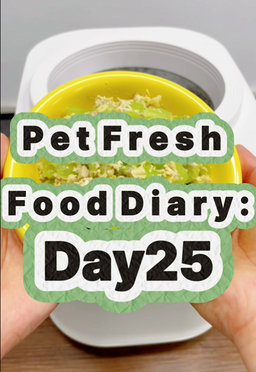 Pet Nutritional Fresh Food Diary Day 25