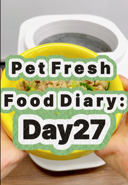 Pet Nutritional Fresh Food Diary Day 27
