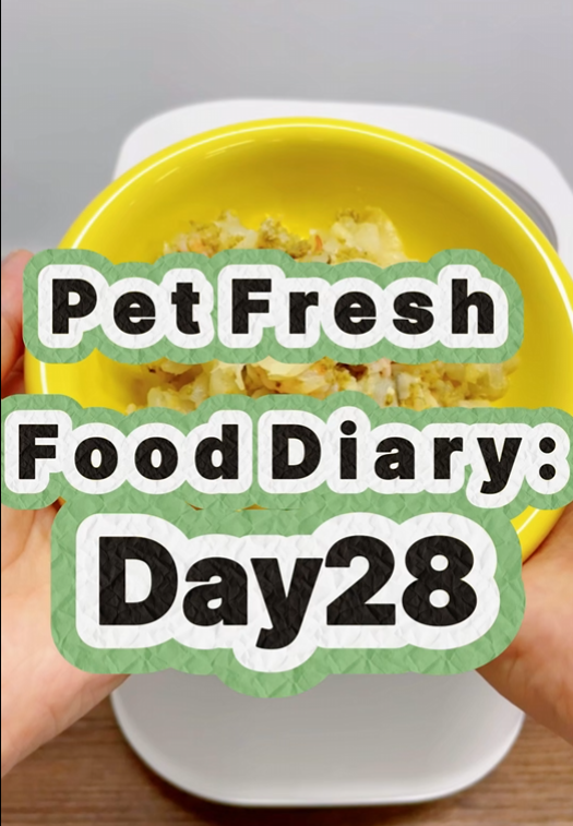 Pet Nutritional Fresh Food Diary Day 28