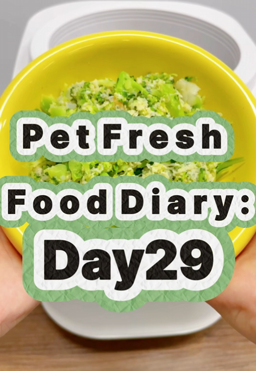 Pet Nutritional Fresh Food Diary Day 29