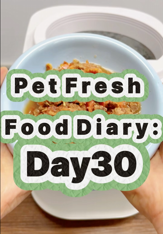 Pet Nutritional Fresh Food Diary Day 30