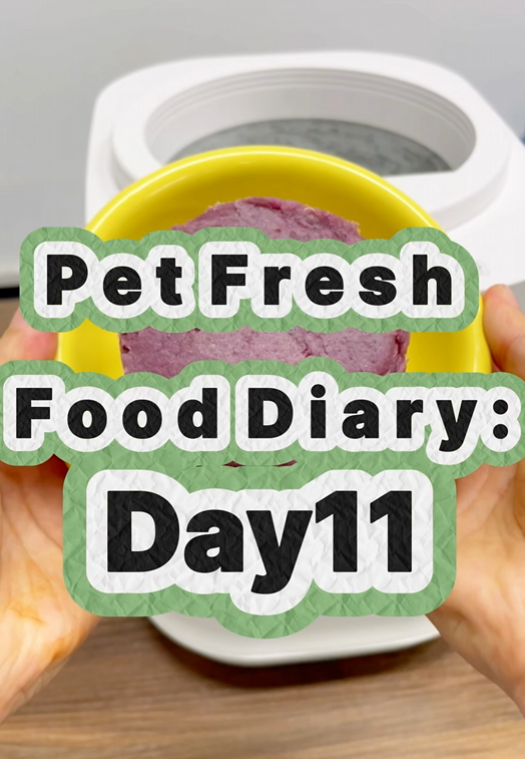 Pet Nutritional Fresh Food Diary Day 11