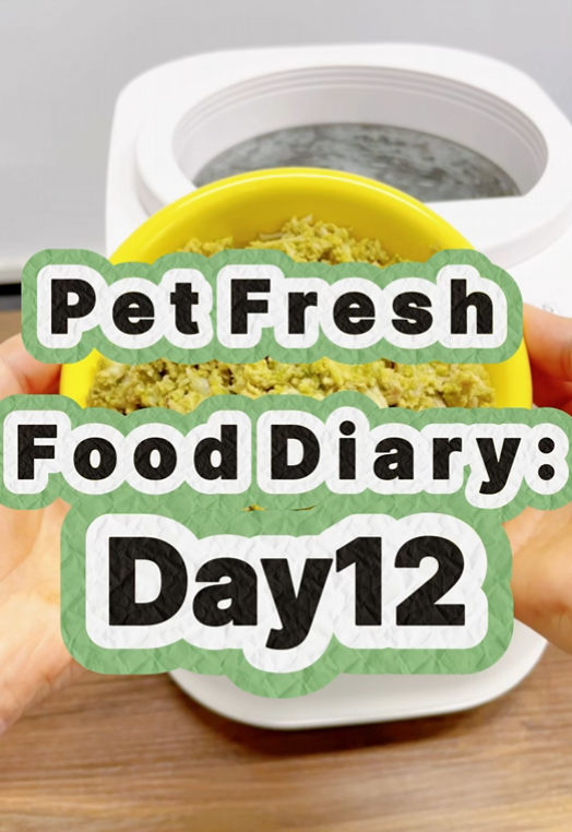 Pet Nutritional Fresh Food Diary Day 12