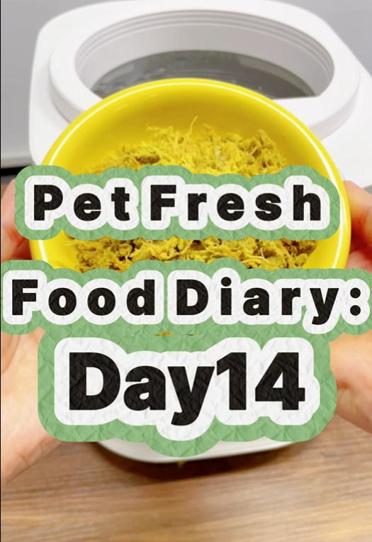 Pet Nutritional Fresh Food Diary Day 14