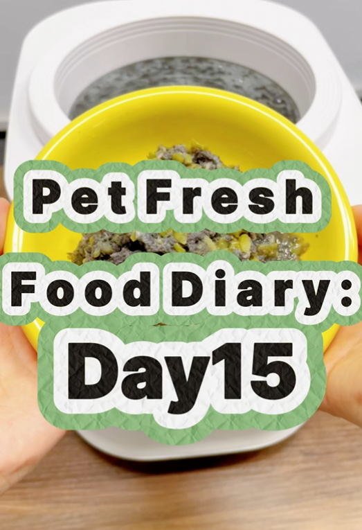 Pet Nutritional Fresh Food Diary Day 13