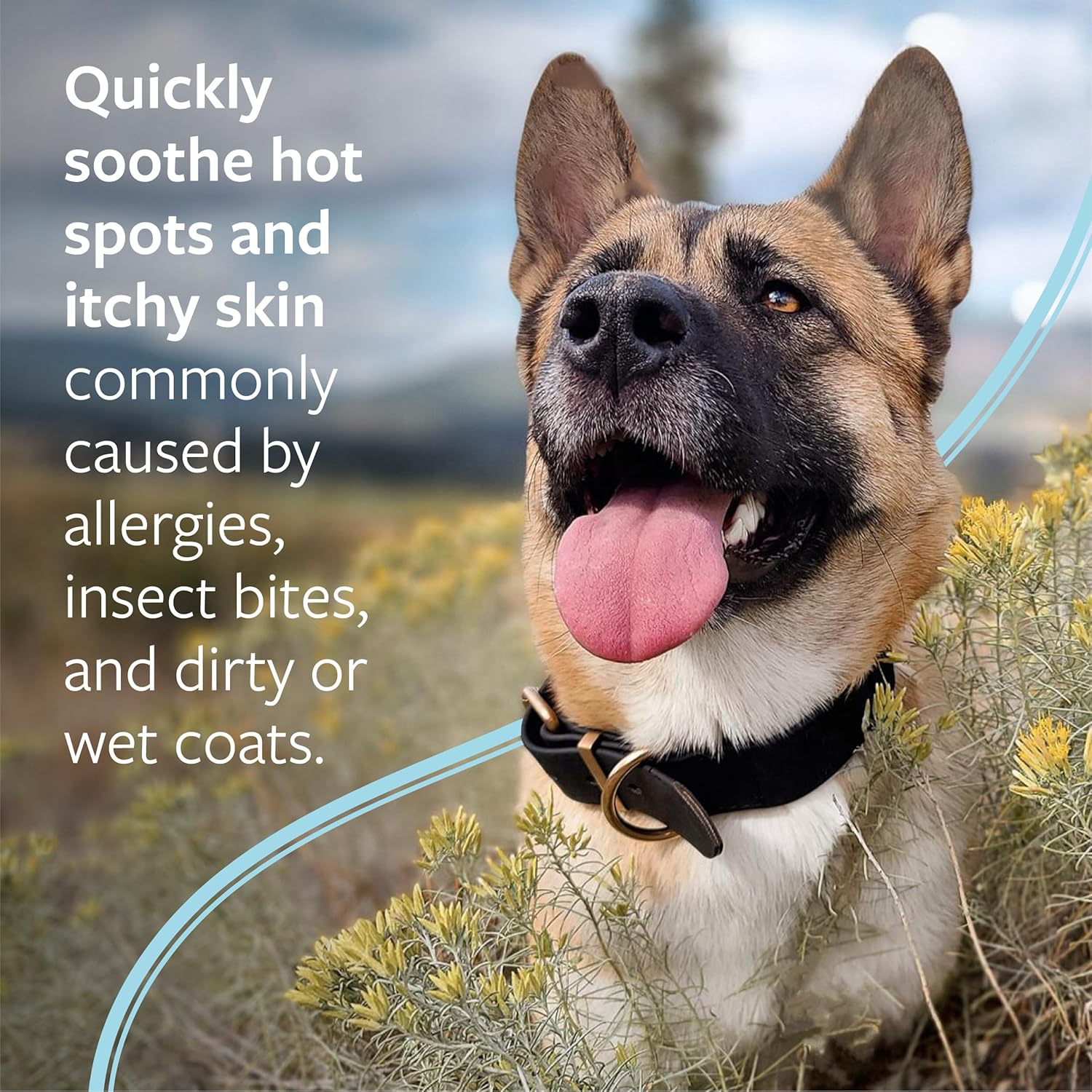 SkinSmart Antimicrobial Skin and Wound Care for Pets, Removes Bacteria to Promote Healing and Relieves Itch