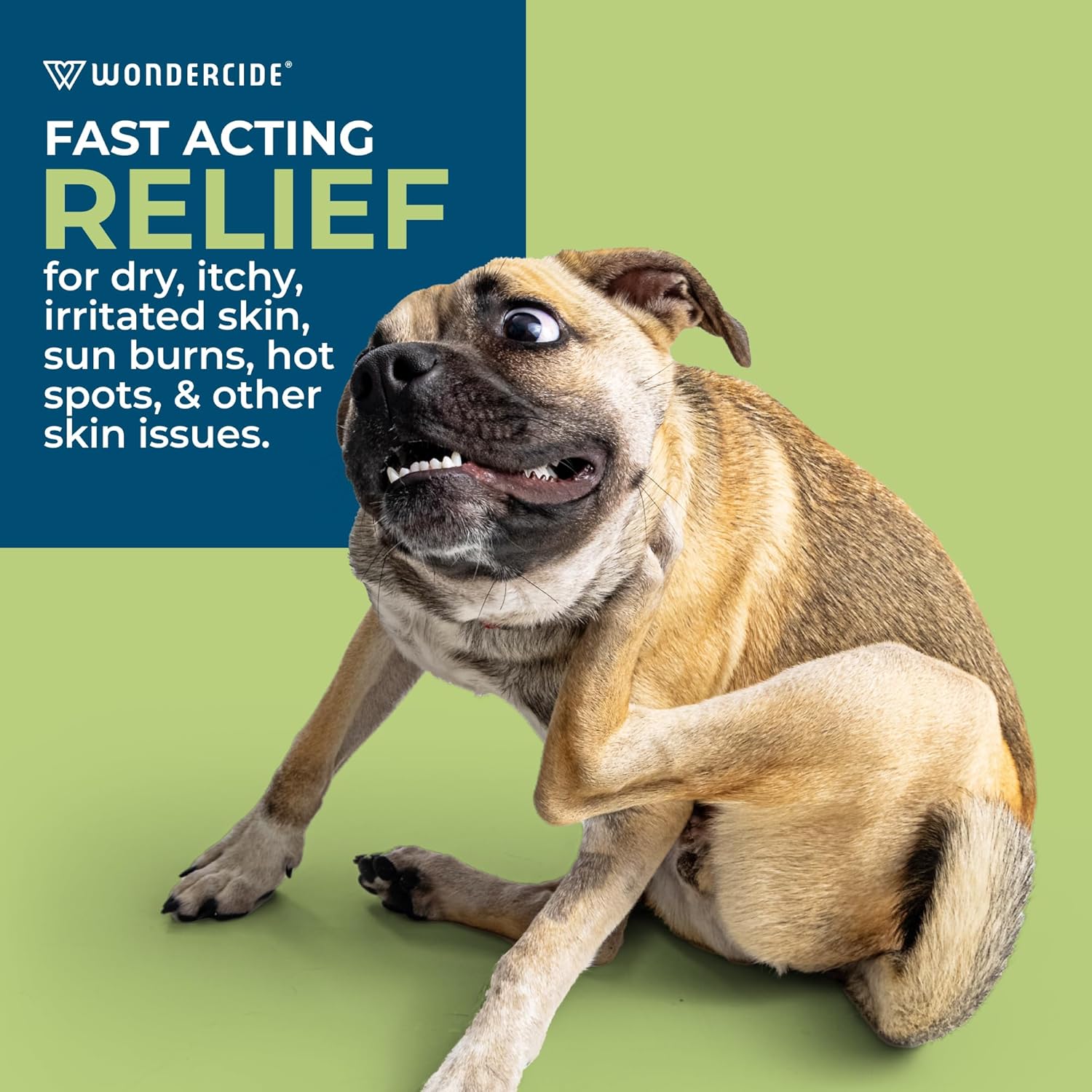 SkinSmart Antimicrobial Skin and Wound Care for Pets, Removes Bacteria to Promote Healing and Relieves Itch