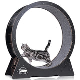 Wooden Black Cat Exercise Wheel (Middle)
