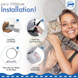 cat wheel