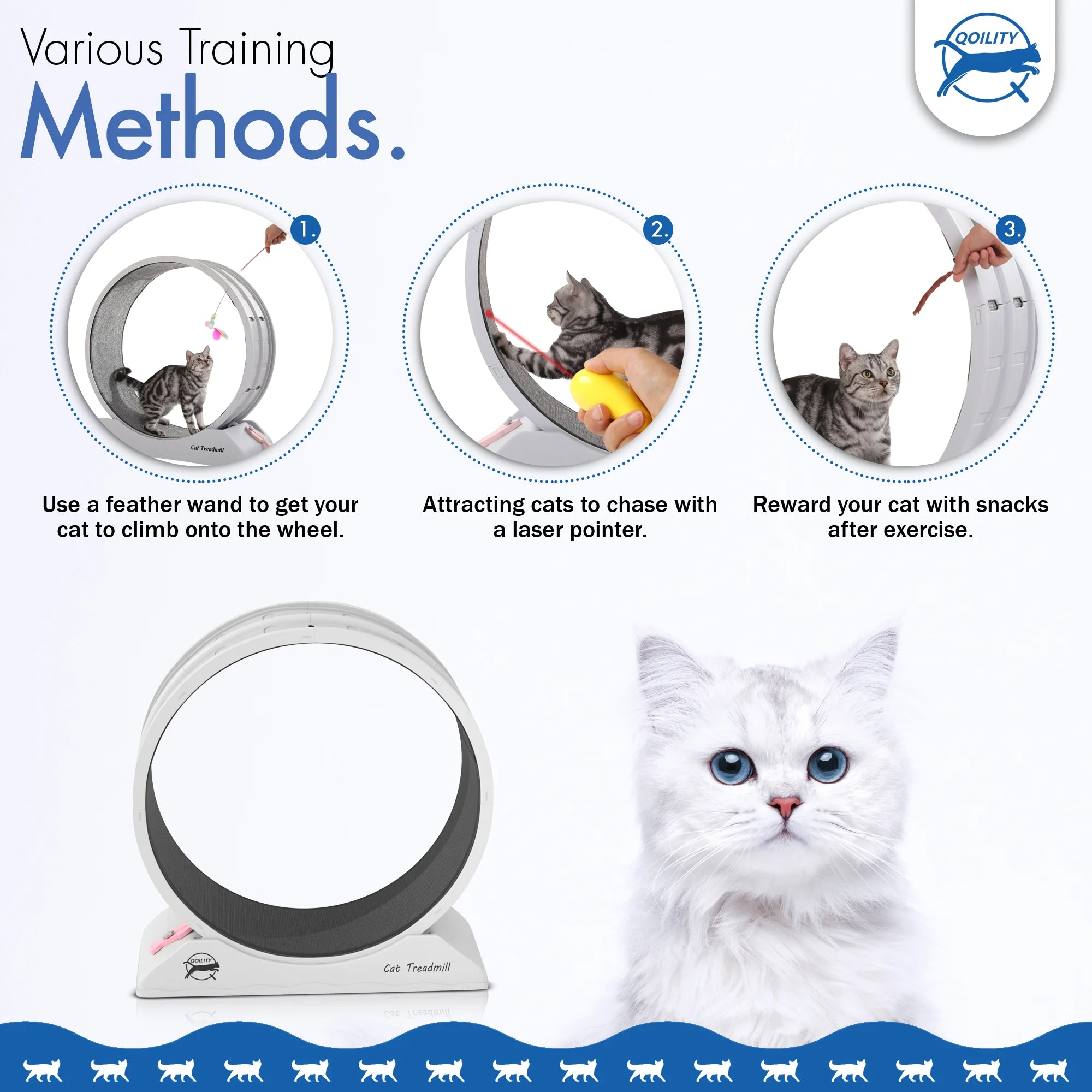 cat wheel