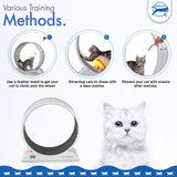 cat wheel