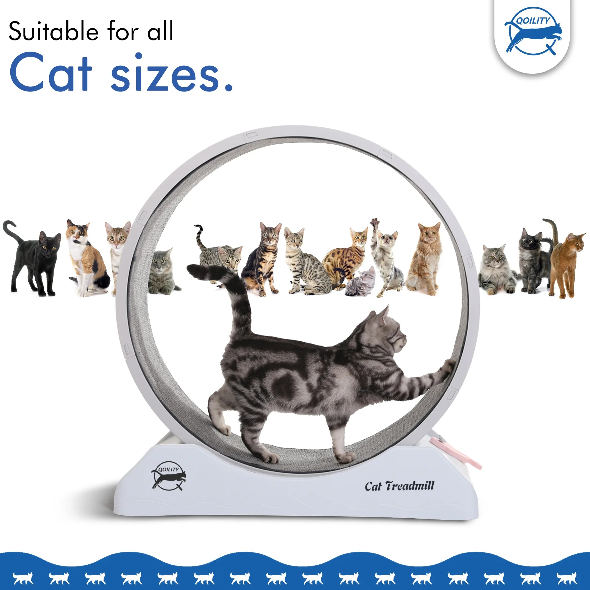 cat wheel