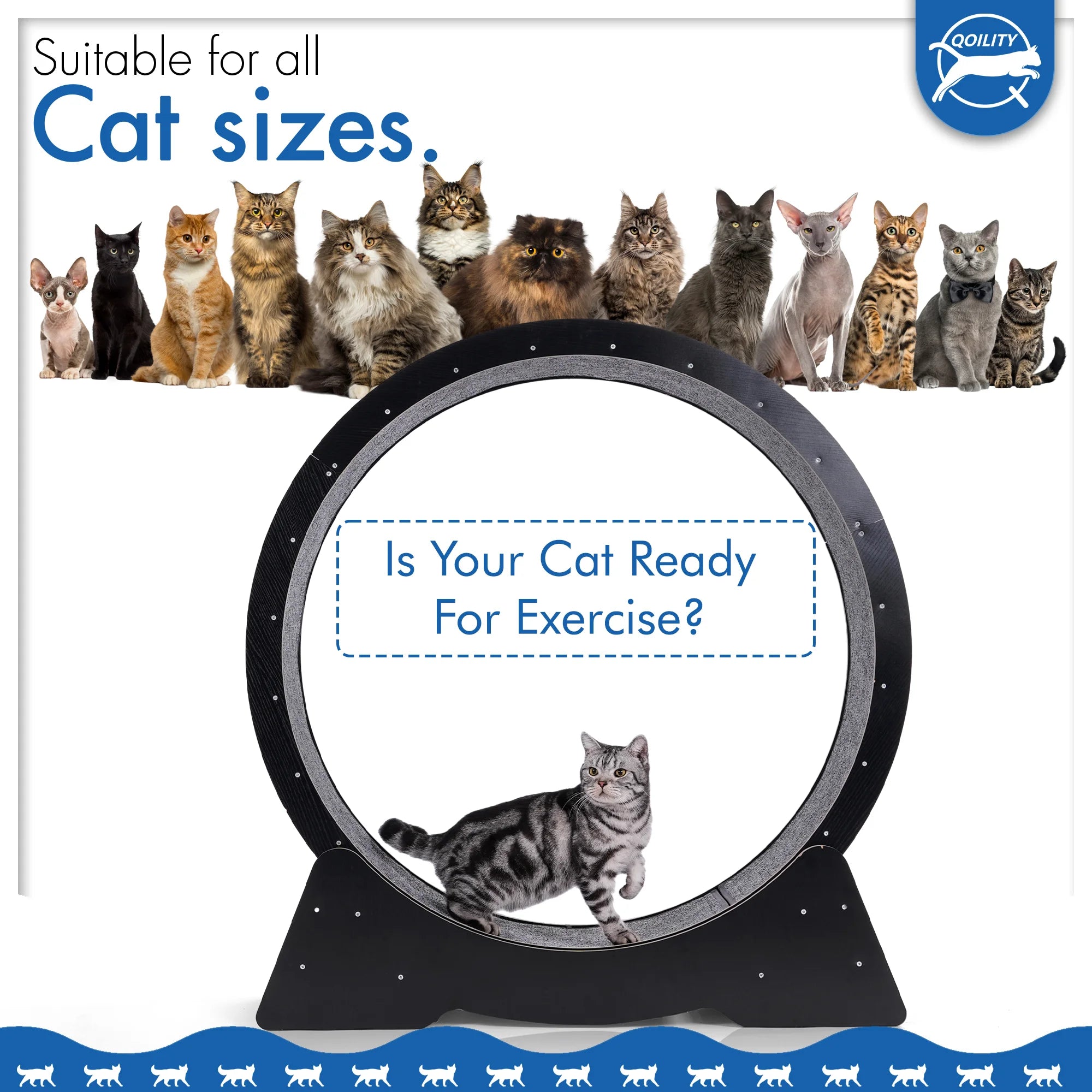 Wooden Black Cat Exercise Wheel (Middle)