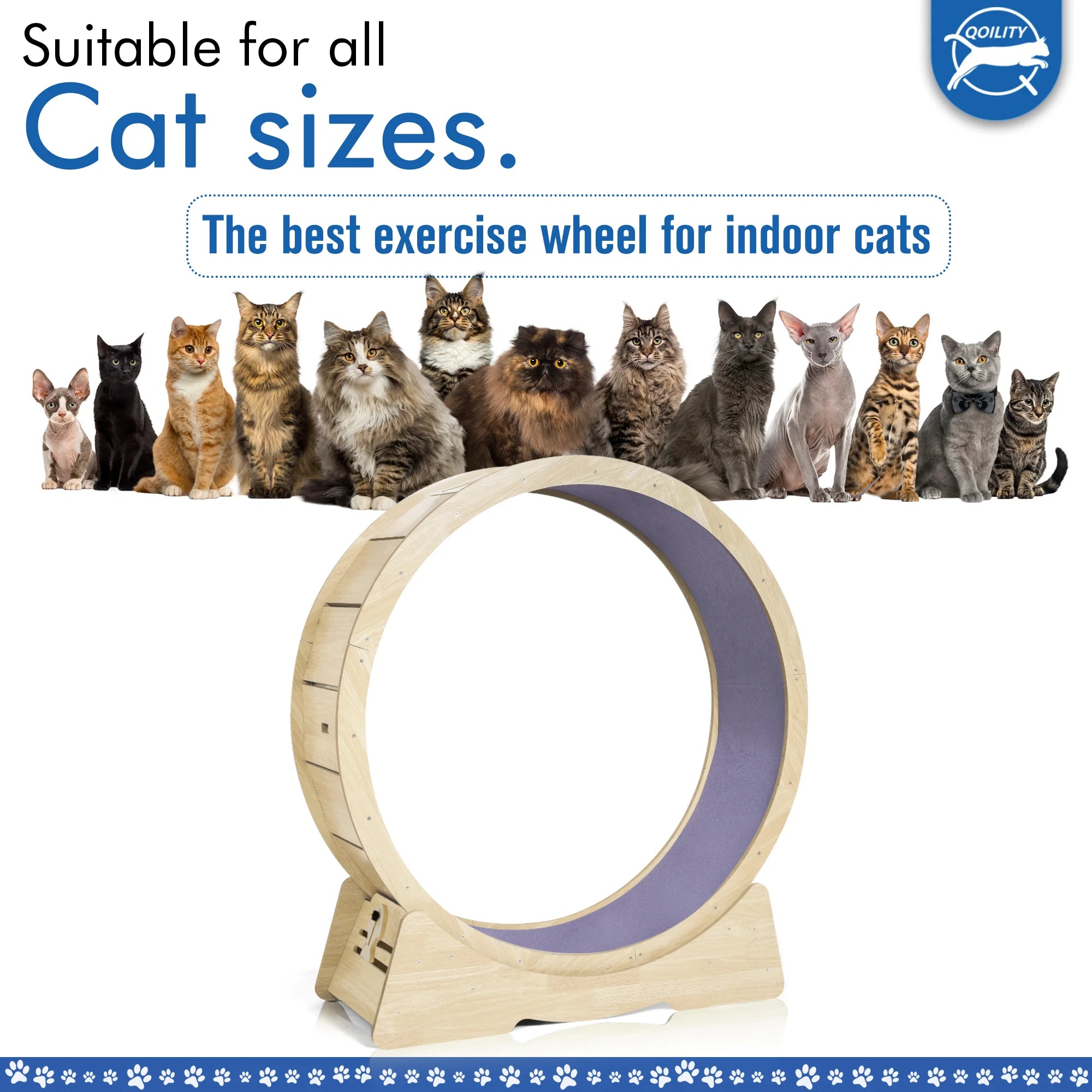 cat wheel