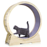cat wheel